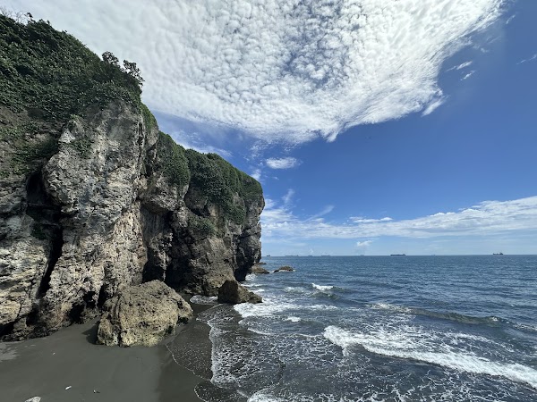 Coral Reef Cliff