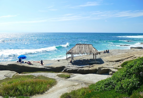 Windansea Beach 5