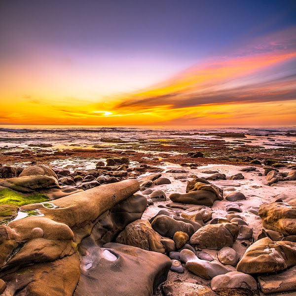 Windansea Beach 3