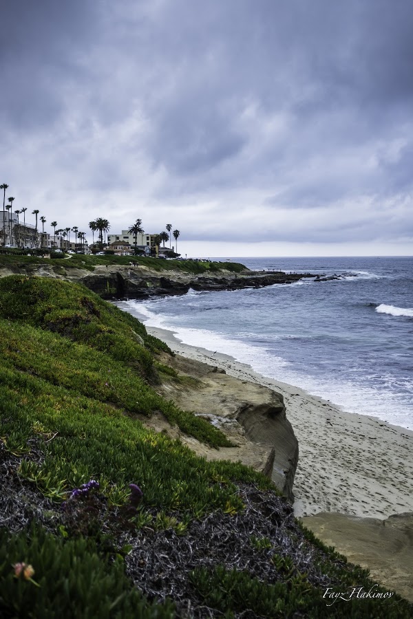 Windansea Beach 2