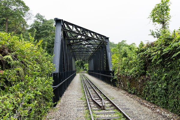 Rail Corridor Central 1
