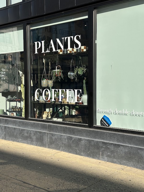Zz Coffee Shop 1