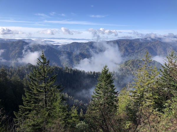 Alum Cave Trail