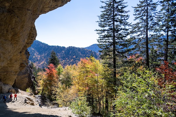 Alum Cave Trail 4