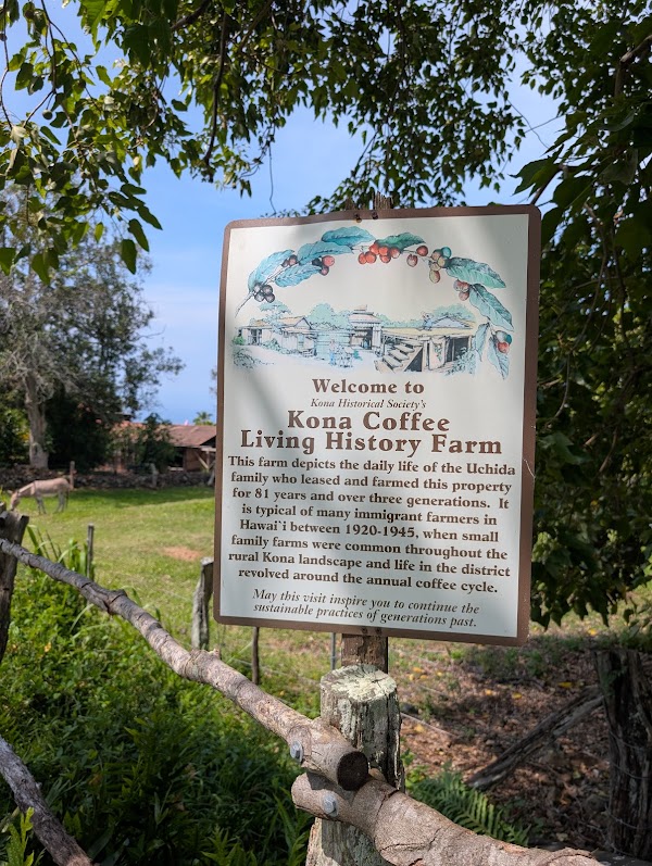 Kona Coffee Living History Farm 4