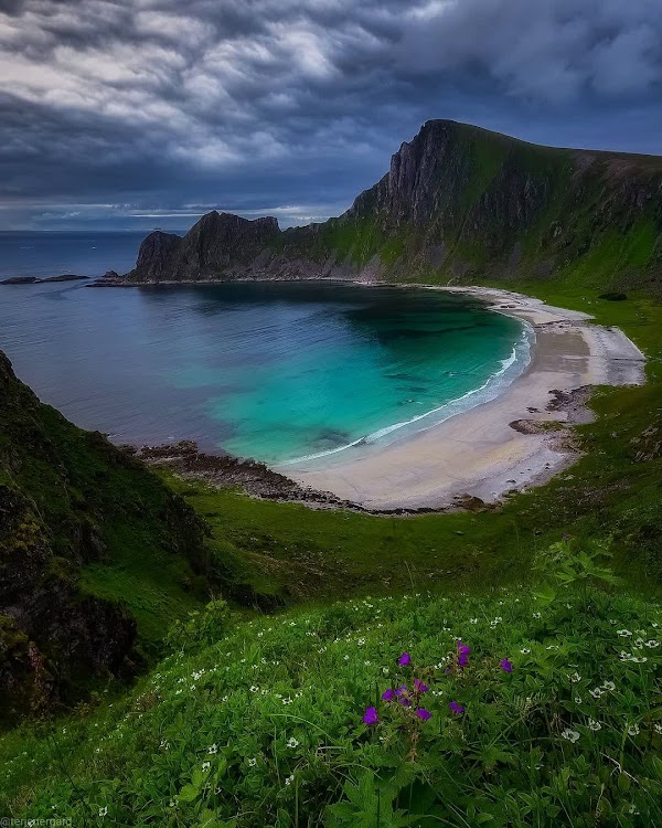 Høyvika