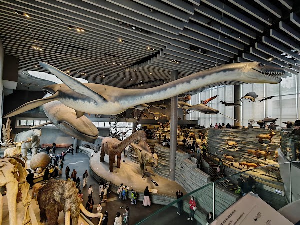 Shanghai Natural History Museum. 5