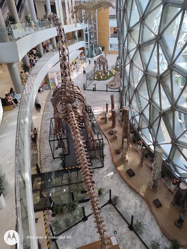 Shanghai Natural History Museum. 4