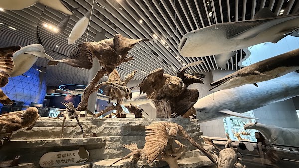 Shanghai Natural History Museum. 3