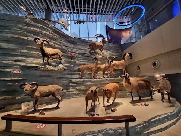 Shanghai Natural History Museum. 2
