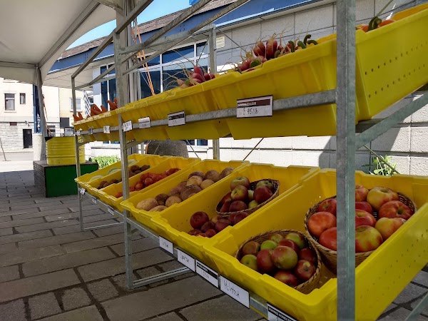 Solidaire Frontenac Market 3