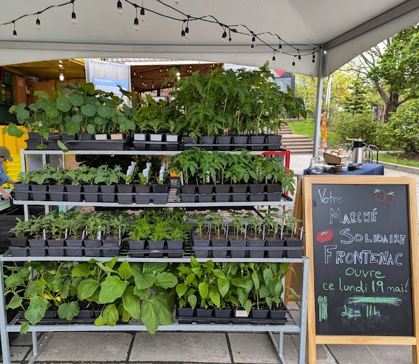 Solidaire Frontenac Market 2