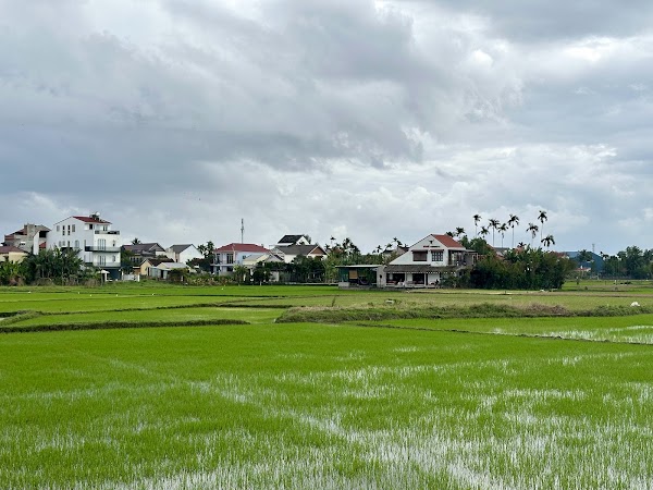 Hoi An Rice Fields-Cycling&Sunset