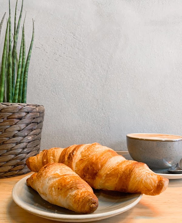 Hey My Coffee - Goya 5