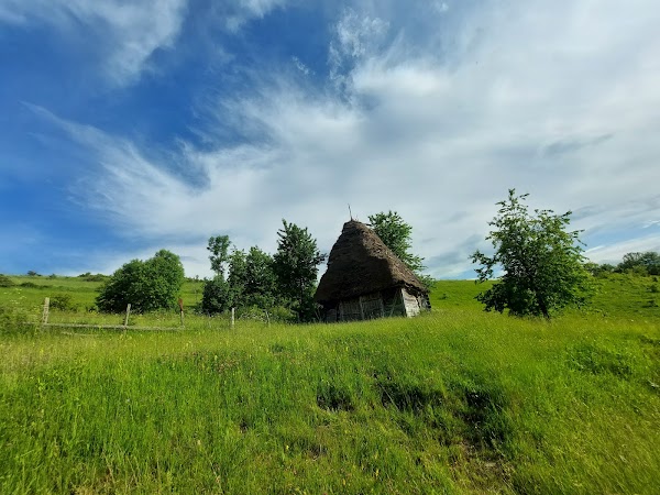 Dumești