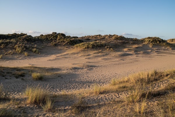 Nature Reserve of Westhoek