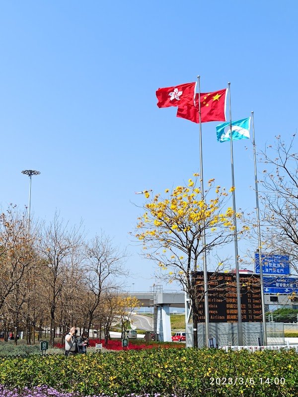 Tung Chung Cable Car Terminal 3