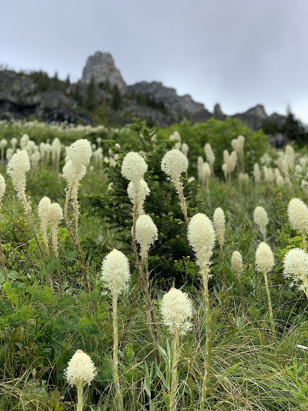 Highline Trail 2