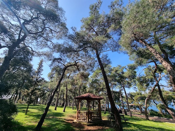 Dilburnu Nature Park