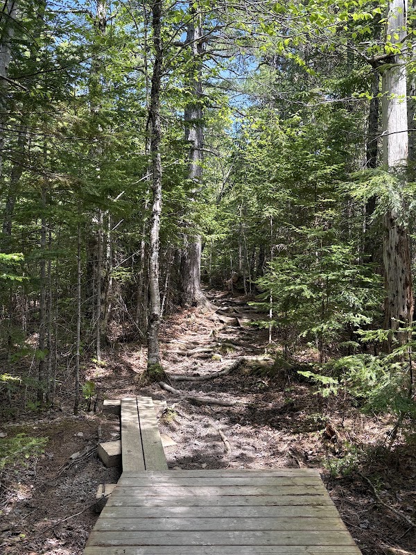 Embree's Brook Falls