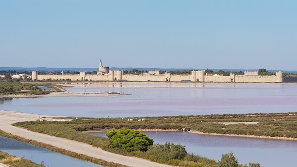 Salin d’Aigues-Mortes