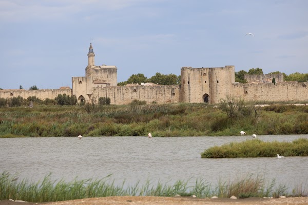 Salin d’Aigues-Mortes 5