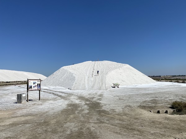 Salin d’Aigues-Mortes 3