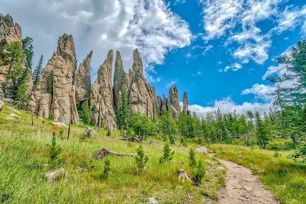 Custer State Park 4
