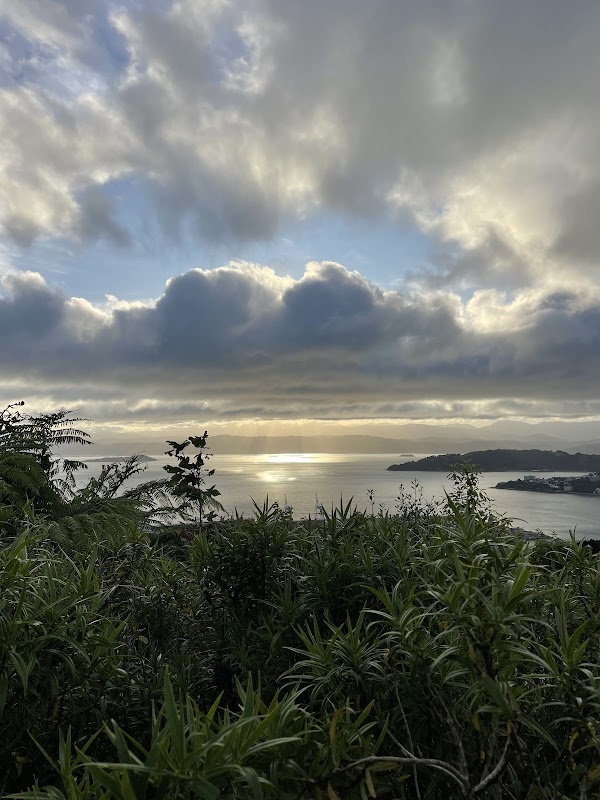 Wellington Town Belt Hikes 3