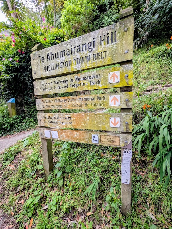 Wellington Town Belt Hikes 2