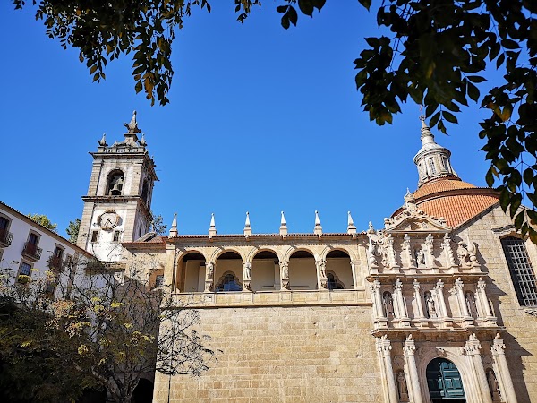 Municipal Museum Amadeo de Souza Cardoso 2