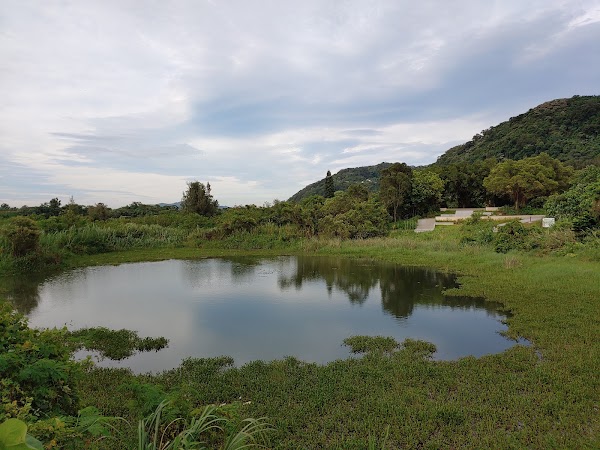 大漢溪山豬湖生態親水園區
