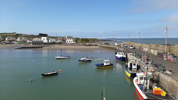 Loughshinny 3