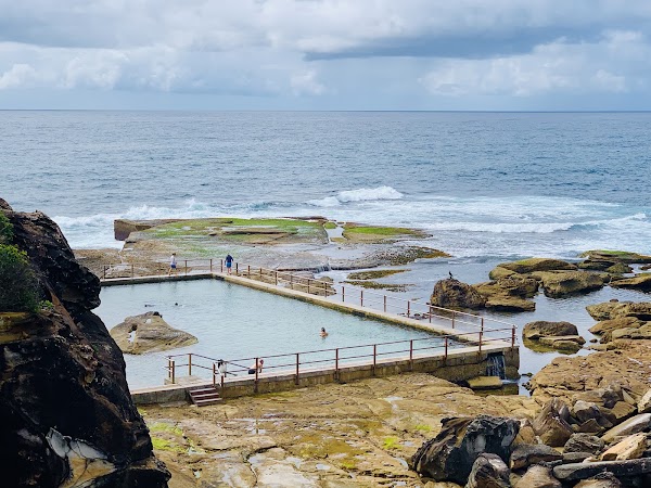 North Curl Curl Rockpool 1