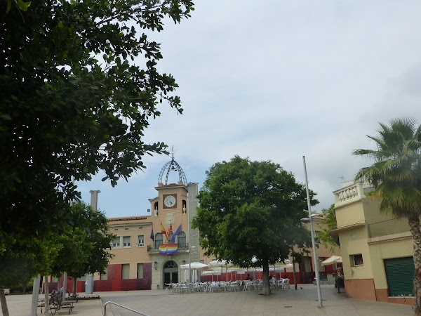 Barcalona 50