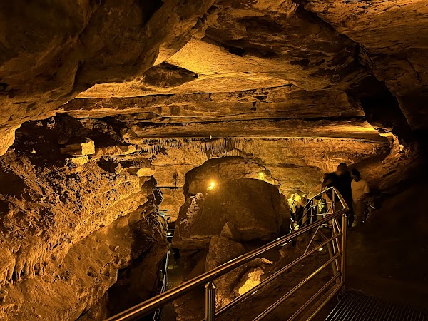 Cal Cave 3