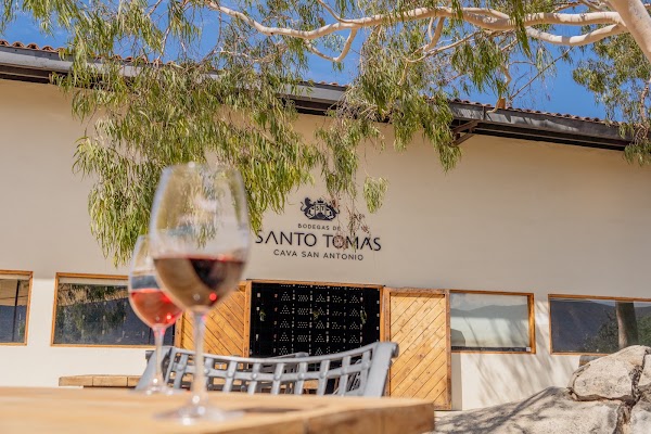 Bodegas de Santo Tomás - Cava San Antonio de las Minas 1
