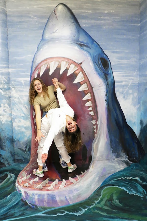 Museum of 3D Illusions 2