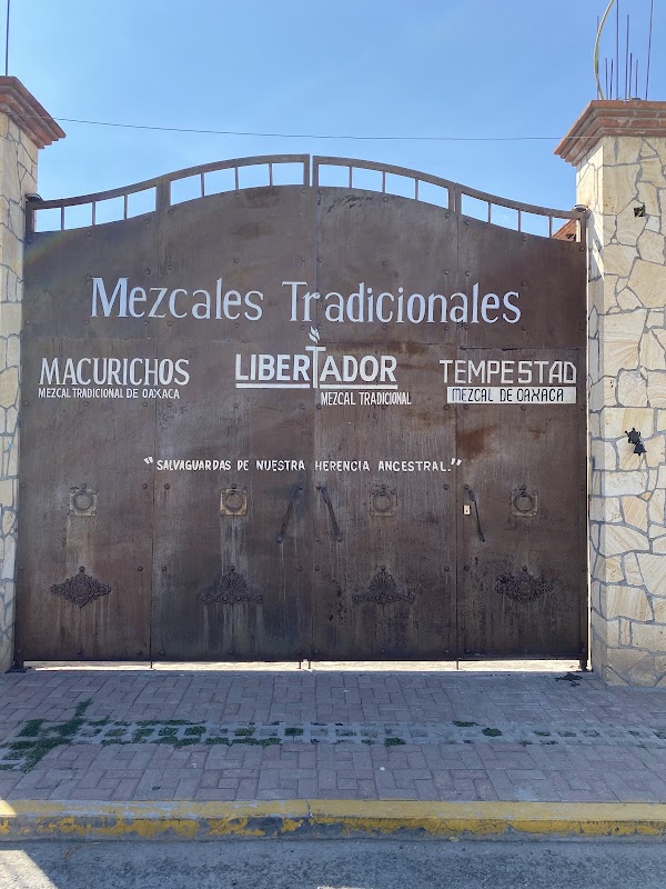 Mezcal Macurichos 1