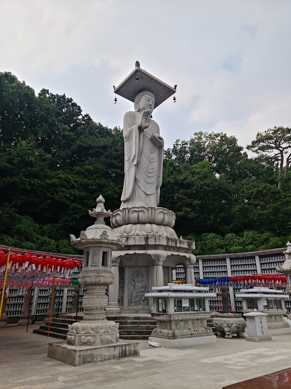 Cherry Blossom 🌸 25