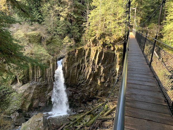 Drift Creek Falls Trail 1378 (Trail Head)