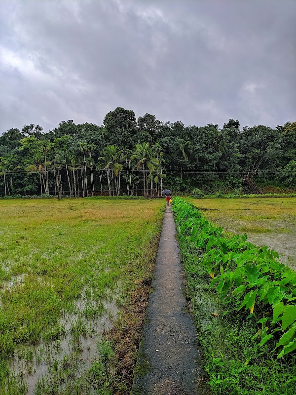 Kadavoor 1
