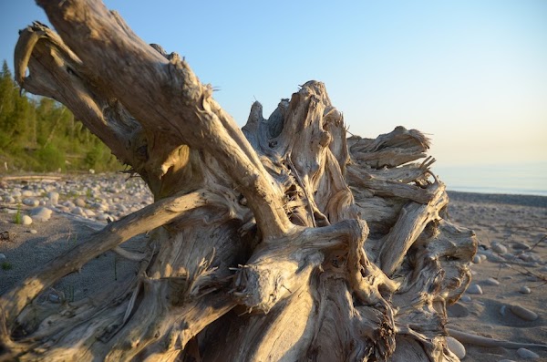Blacks Point Beach