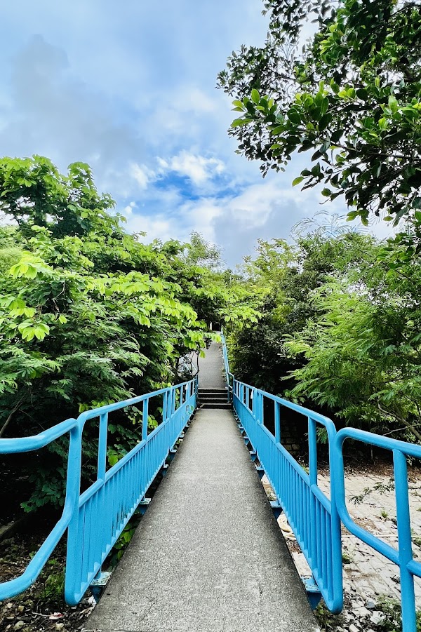 Leaping Dragon Walk 4