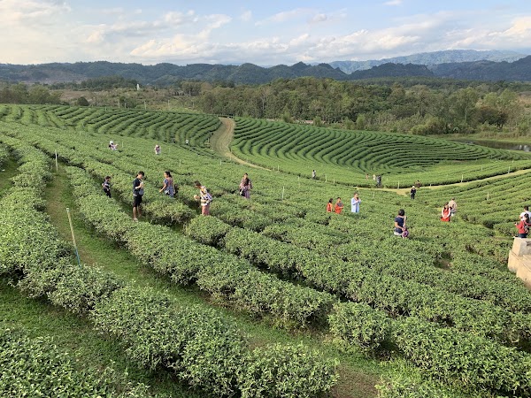 Thailand 7
