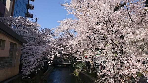 Kyoto cafe 27