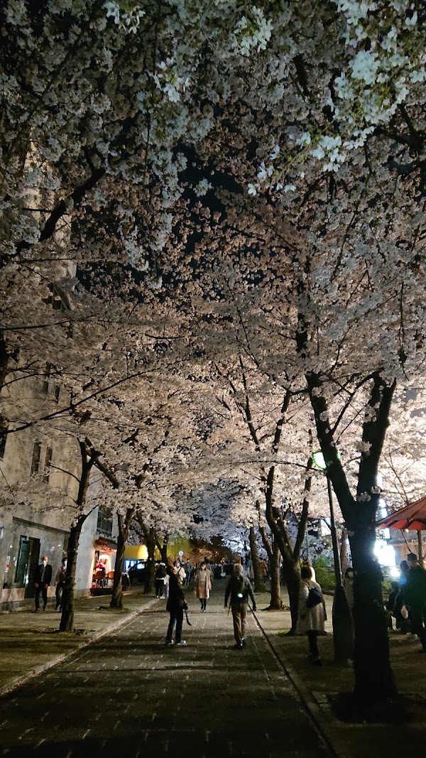 Shirakawa-dori 4