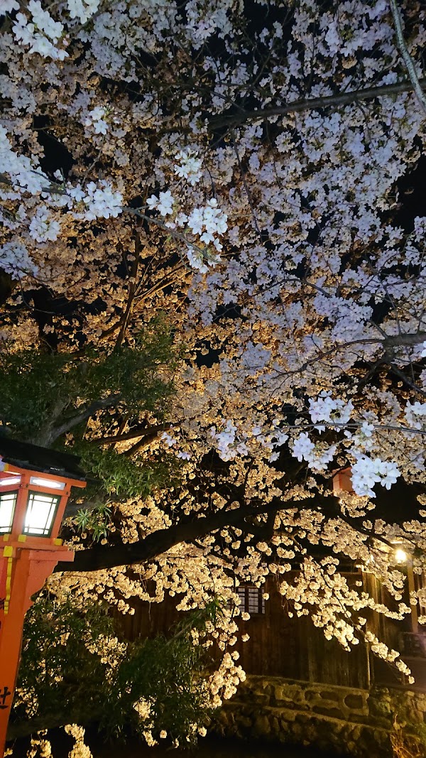 Shirakawa-dori 3