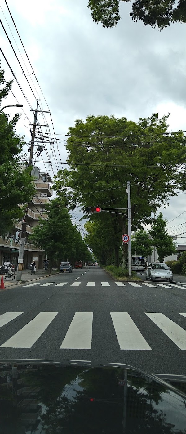 Shirakawa-dori 2