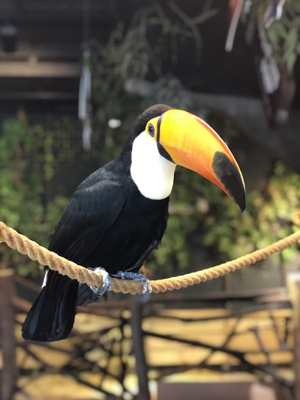 Zoolung Zoolung Hanam 5
